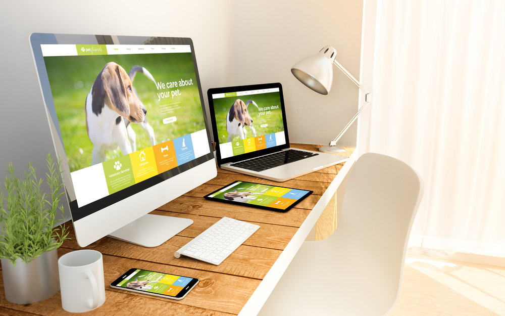 Branding and Identity Design - Building a Strong Business Presence ...